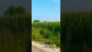 Sen değerlisin unutma…