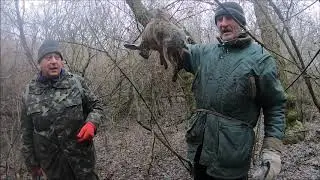 ОХОТА НА ЗАЙЦА 2020