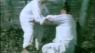 Shaolin Fighters (1978) Casanova Wong