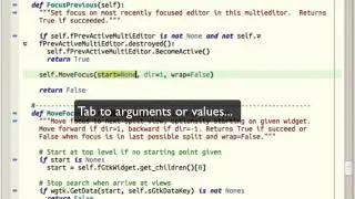 Auto-invocation in Wing IDE 5