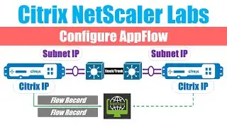 Citrix NetScaler: Configure AppFlow
