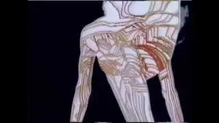 Aerobicise • The Utimate Workout • Darcy De Moss • Hands & Knees Psychedelic • 1982