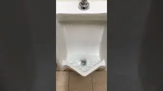 1990’s Eljer Walford toilet and 1986 American Standard Washbrook