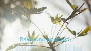 Agile in Action and AI Today Video
