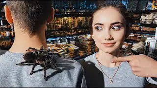 ОБЗОР НАШЕЙ КОЛЛЕКЦИИ ПАУКОВ! Распаковка покупок с рептилиума, наши беспозвоночные
