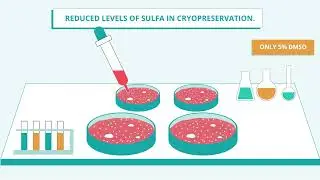 Motion Graphic animation for Trustem