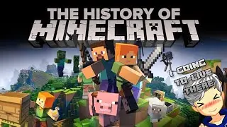 Journey Of Minecraft | History of Minecraft in Hindi.!!!
