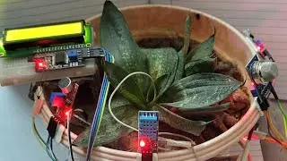 Smart Pot with Esp32 using blynk Iot platform