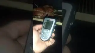 #термощуп