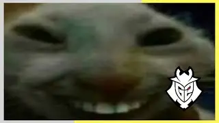 G2 - XDD