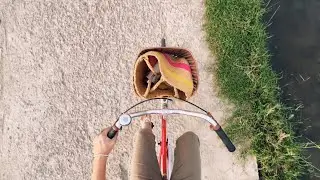 DAILY BIKE RIDES : SLICE OF LIFE