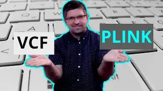Convert between PLINK to VCF file formats (Remake)