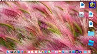 How to put music in your video on Mac