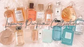 MY LUXURY PERFUME COLLECTION 2019! 😍