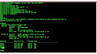 PVST (Per VLAN Spanning Tree) lab on Cisco Catalyst Switch