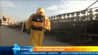 Crazy City - Новая угроза Миру! вирус, опаснее сихорадки Эбола