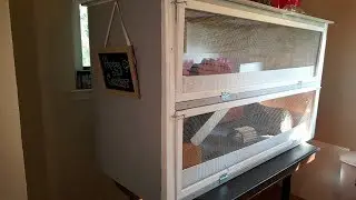DIY 2-STORY GUINEA PIG CAGE TOUR