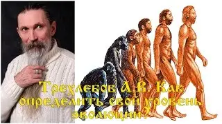 Трехлебов А.В. Как определить свой эволюционный уровень - Смерд, Веси, Витязь и Ведун?