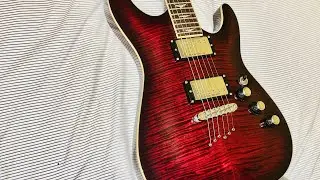The shredder guitar of the 2000's?!?!?! Shecter C-1 Plus review and demo.