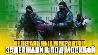 Всех ДЕПОРТИРОВАТЬ!! МИГРАНТОВ поймали в  под Москвой. Опять без документов и разрешений.