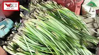 Pineapple leaves turn into pineapple fibers in seconds — mingx in the textile industry#Fangz
