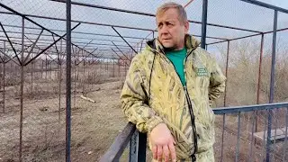 КОШМАР! Люськина мать снова родила и малышу опять НУЖНА НАША ПОМОЩЬ!