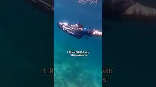 Unique Activities in Greater Fort Lauderdale, Florida