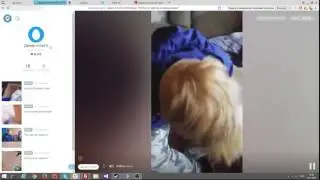Школьники стреляют по полиции с окна | Запись с Перископа ПОЛНАЯ