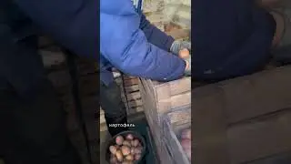 Целый квест добраться в погреб😆 