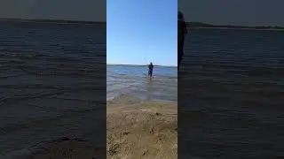 ❗Рыбалка на Волге❗ 