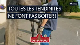 Toutes les tendinites ne font pas boiter les chevaux !