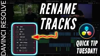 How to RENAME Tracks in DaVinci Resolve 16 | Quick Tip Tuesday