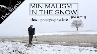 Minimalist landscape photography - Part 3 - How I photograph a tree