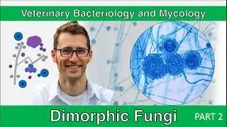 Dimorphic Fungi (Part 2) - Veterinary Bacteriology and Mycology