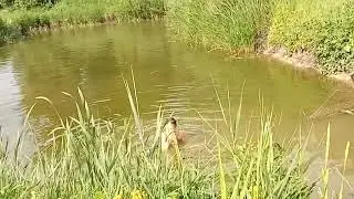 Пять минут отдыха.
