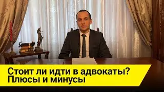 Стоит ли идти в адвокаты? Плюсы и минусы профессии