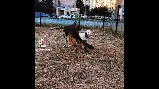 встреча с другом стафордом))))))