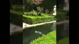 Alhambra Jardin y Mirador del Amor