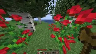 Стрим На Сервере!