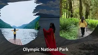 Majestic Olympic National Park in One Day//Evergreen State Washington//Things to do in Washington