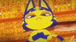 ankha zone bem adulto confia