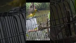 when mother was angry someone disturbed her house 🤬🤬