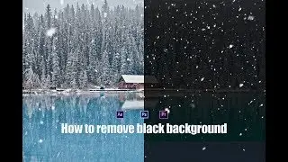 How To Remove Black Background From Video