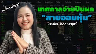 เลือกหุ้นพื้นฐานดี มีปันผล ออมหุ้นไว้เป็น passive income