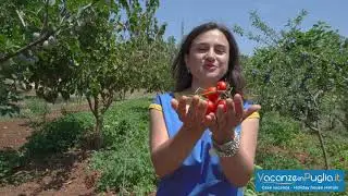 Vacanzeinpuglia.it - Spot Estate 2018