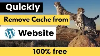 How To Remove All Cache From Your Website | Increase Your Website Speed