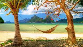 Stress Relief Music, Relaxing Smooth Guitar Music, Background Guitar Music, Relaxation  Spa, Massage