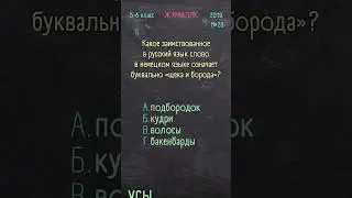 Русский язык 5-6 класс 2019 №28
