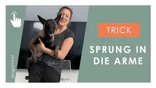 Hund lernt Trick | Sprung in die Arme | Trick Tutorial