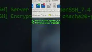 Linux commands, open SSH, logging in remotely to a clients system as root user for fun. 